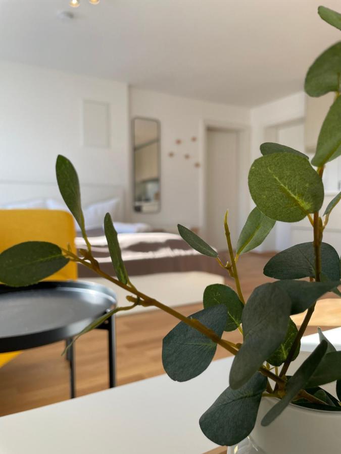 Maurer Haus Daire Hohenweiler Dış mekan fotoğraf